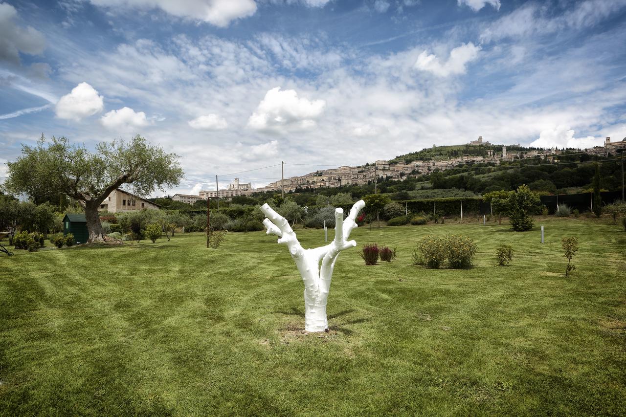 Tenuta San Masseo - boutique farm resort & SPA Assis Exterior foto